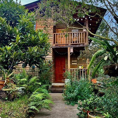 Beehouse Arvi Cabana Guarne Ngoại thất bức ảnh