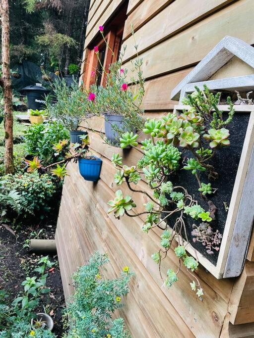 Beehouse Arvi Cabana Guarne Ngoại thất bức ảnh