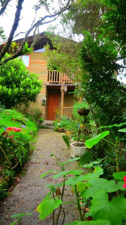 Beehouse Arvi Cabana Guarne Ngoại thất bức ảnh