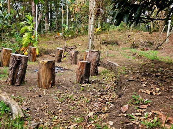 Beehouse Arvi Cabana Guarne Ngoại thất bức ảnh
