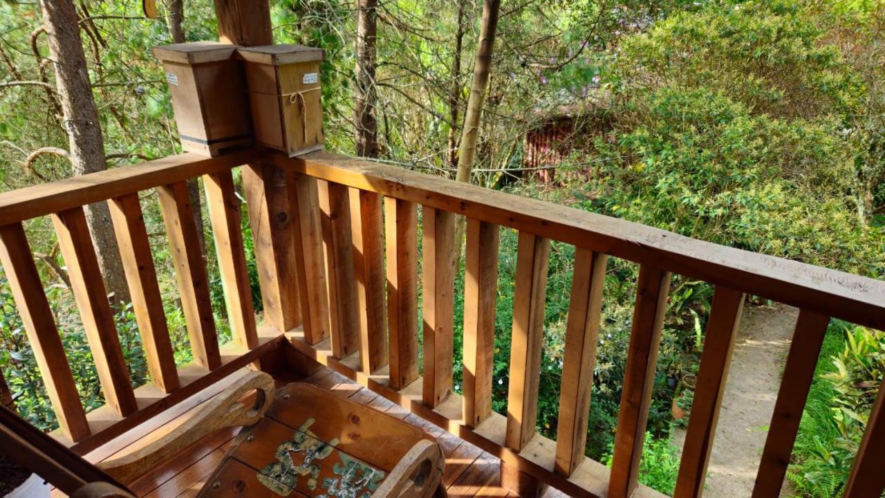 Beehouse Arvi Cabana Guarne Ngoại thất bức ảnh
